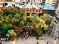 Bulevar de Sabana Grande, arquitectura y vegetación.