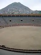 El albero con el cerro San Cristóbal