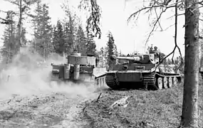 Dos tanques Panzer Tiger VI cerca del lago Ladoga (agosto de 1943) ).