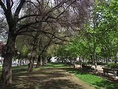 Vegetación en el parque