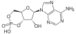 Imagen de la estructura