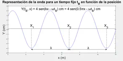 Representación de una onda sinusoidal de amplitud 4 cm y número de onda 
  
    
      
        k
        =
        0.25
        π
         
        r
        a
        d
        
          /
        
        m
      
    
    {\displaystyle k=0.25\pi \ rad/m}
  
 para un tiempo fijo tB en función de la posición. La longitud de onda 
  
    
      
        λ
      
    
    {\displaystyle \lambda }
  
 aparece descrita gráficamente.