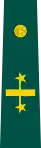 Insignia de coronel Ejército Nacional de Colombia.