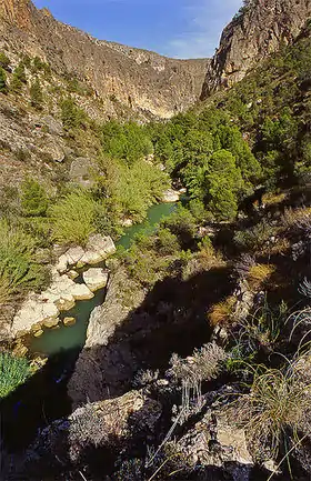 Río Segura a su paso por el Cañón de Almadenes.