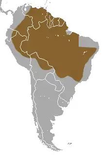 Distribución de C. unicinctus