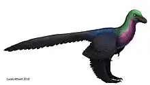 Life restoration of Caihong juji, with colors