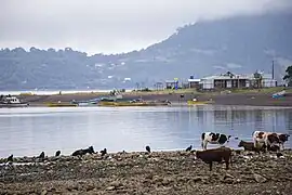Caleta El Manzano.