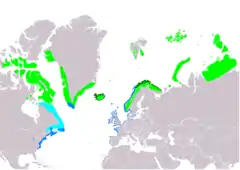 Distribución de Calidris maritima