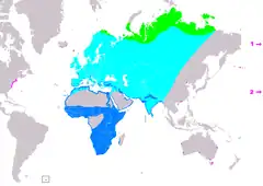 Distribución de Calidris minuta