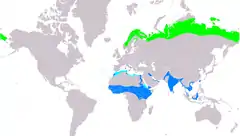 Distribución de Calidris temminckii