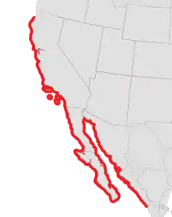 La ocurrencia es escasa en la parte norte de esta distribución.Robert Hugh Morris; Eugene Clinton Haderlie (1980). Intertidal Invertebrates of California. Stanford University Press. p. 348. ISBN 978-0-8047-1045-9. Consultado el 26 de julio de 2013. 