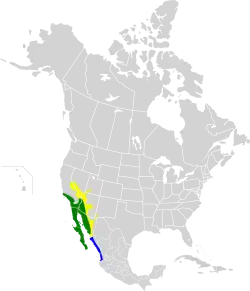 Distribución del C. costae      rango reproductivo     distribución durante todo el año     distribución invernante