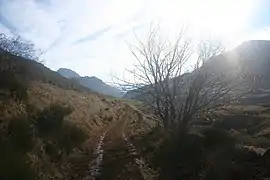 Camino desde Torrestío que se dirige hacia Asturias.