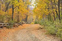 Bosques caducifolios en el acceso a la Reserva Nacional Altos de Lircay.