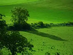 Campiña de Tudela de Duero