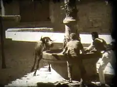 Toros en la Plaza Mayor