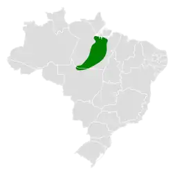 Distribución geográfica del picoguadaña del Xingú.