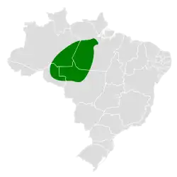 Distribución geográfica del picoguadaña del Tapajós.