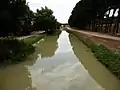 Canal en Zaragoza