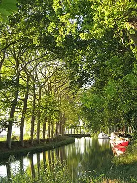 Canal del Mediodía (Canal du Midi)