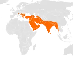 Distribución de C. aureus