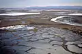 Rio Delta