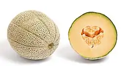 'Cantalupo'