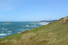 Vista hacia el norte: Gulf Rock, Castle Rock y Floras Lake State Park.