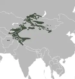 Distribución del íbice siberiano