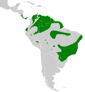 Distribución geográfica del mosquerito amarillo.