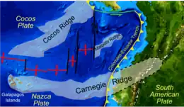 El flanco norte de Cordillera submarina de Carnegie, ya que está subterráneo debajo de la costa de Ecuador, donde ocurrió el terremoto.