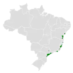 Distribución geográfica del cotinga cabecinegro.