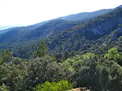 Fuente Roja