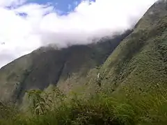 Bosque tropical de montaña, valles del Santo Domingo