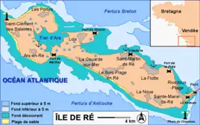 Planta de la île de Ré .