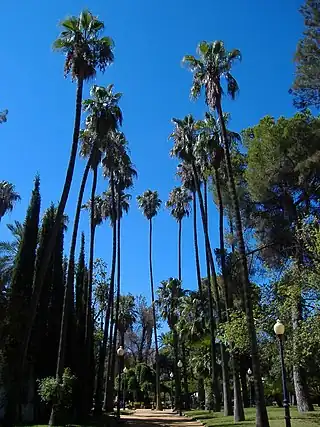 Parque de Castelar.