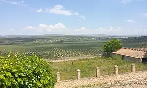 Vega del Guadalquivir, frente al castillo