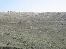 Vista de uno de los campamentos legionarios de los tres identificados durante el asedio que sufrió el castro. Detalle de puerta en clavícula y parte de la circunvalación que lo rodeaba.