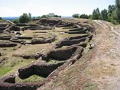 Croa y muros del castro.