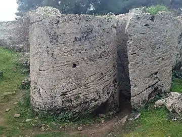 Incisiones circulares profundas para crear y separar una columna.