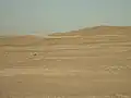 Dunas