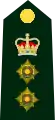 Coronel del Ejército canadiense