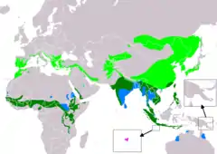 Distribución de Cecropis daurica