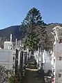 Cementerio Municipal de Salamanca