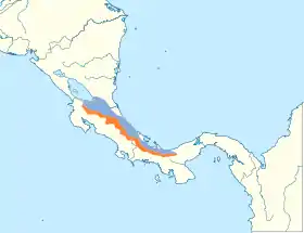 Distribución geográfica del paragüero cuellicalvo.