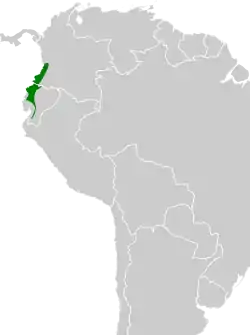 Distribución geográfica del paragüero corbatudo.