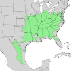 Distribución de Cercis canadensis