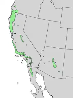 Distribución natural de Cercocarpus betuloides