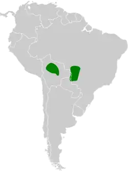 Distribución geográfica del hormiguero de Mato Grosso.