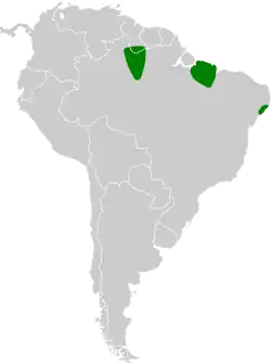 Distribución geográfica del hormiguero de Willis.